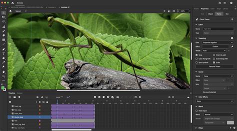 Adobe Animate 2024 Review Techradar