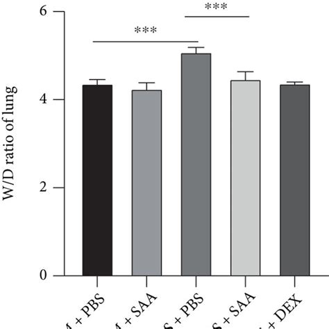 Effects Of Saa On The Lung Edema And Leukocyte Infiltration In