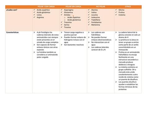 Clasificaci N De Los Amino Cidos Studymed Jm Udocz