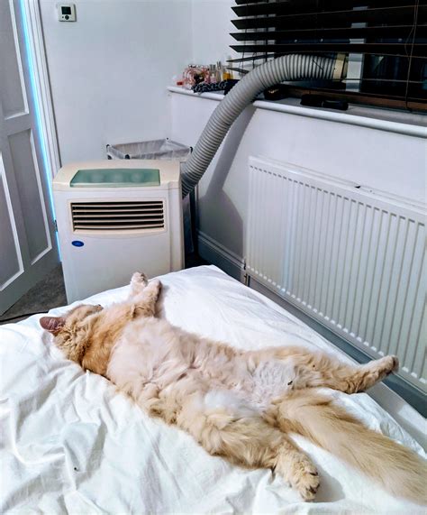 223 best Aircon images on Pholder | Philippines, Aww and