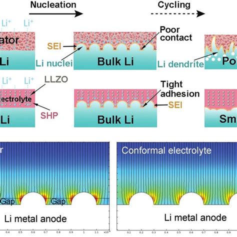 Mechanism illustration of the solid-liquid hybrid electrolyte with ...