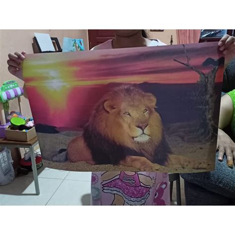 gambar  dimensi hewan  koleksi gambar