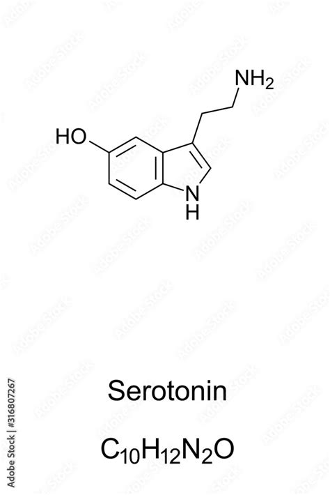 Serotonin Molecule Skeletal Formula Structure Of C H N O Monoamine