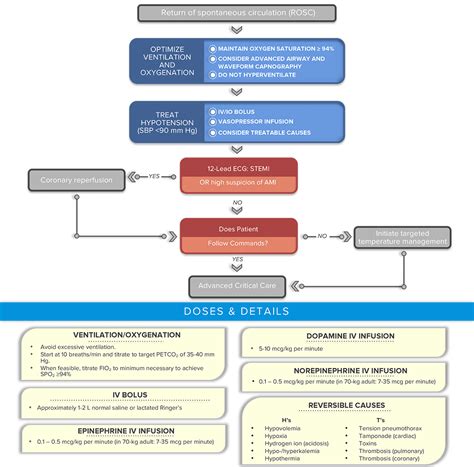 The 7 Acls Algorithms You Absolutely Need To Know