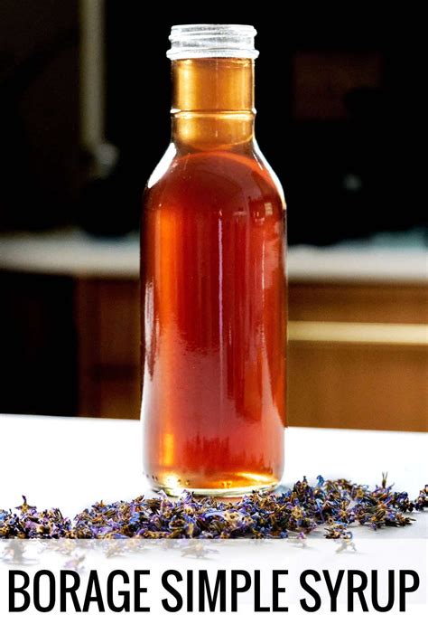 Borage simple syrup – Artofit