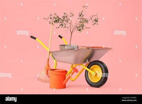 Plant Watering Can Rake And Wheelbarrow On Pink Background Stock