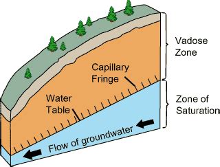 vadose zone wikipedia