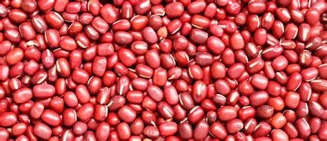 Browns Best Small Red Beans ⋆ Interaction