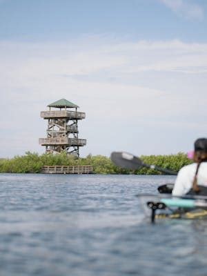 Robinson Preserve, FL Clear Kayak Tours | Get Up and Go Kayaking