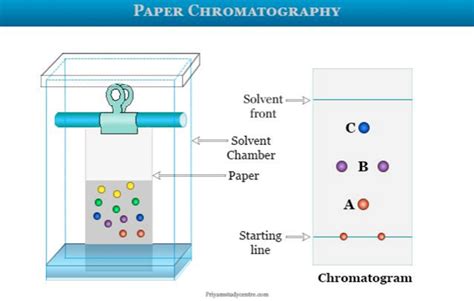 review  chromatographic separation techniques ijps journal