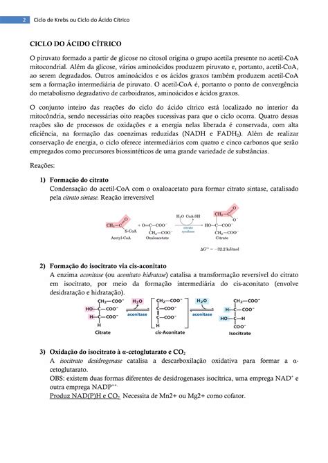 Ciclo De Krebs Ou Ciclo Do ácido Cítrico Pdf