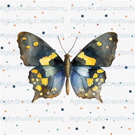 Watercolor Butterflies Clip Art PNG Format Instant Download - Etsy