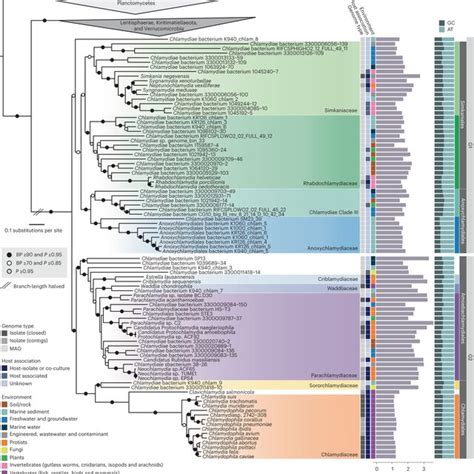 robust species phylogeny  pvc bacteria concatenated  marker genes