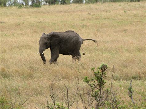 Drop It Like Its Hot R Pics