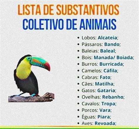 Substantivo Coletivo De Fauna