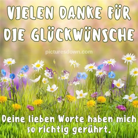 Bild danke für glückwünsche Wildblumen