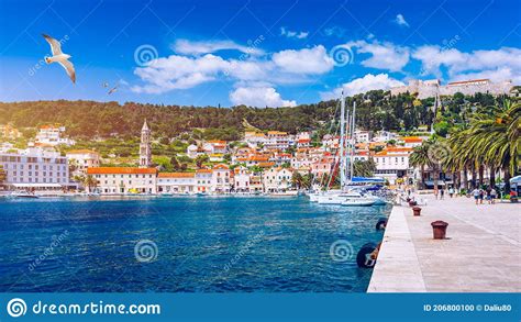 Ciudad De Hvar Con Gaviotas Volando Sobre La Ciudad Famoso Destino De