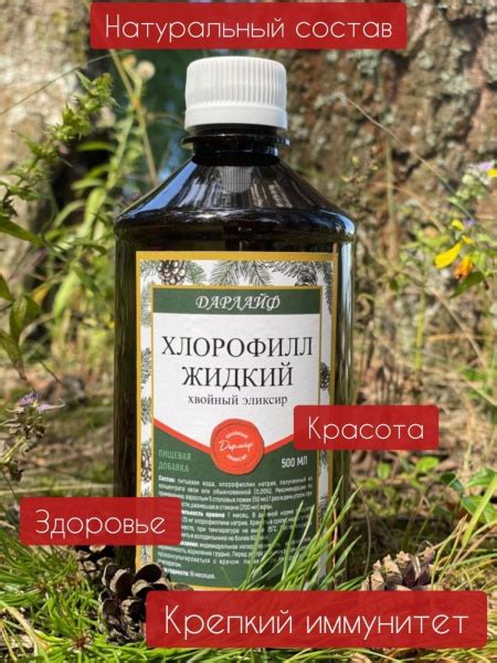 Хлорофилл жидкий хвойный - купить с доставкой по выгодным ценам в ...
