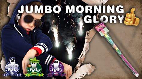 Jumbo Morning Glory Cat 1 Lesli Vuurwerk YouTube