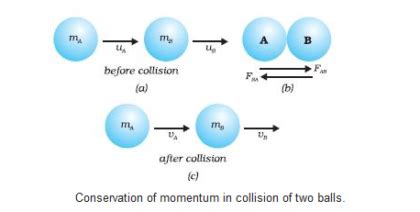 Class 9 Force And Laws Of Motion Notes BrainIgniterBrainIgniter