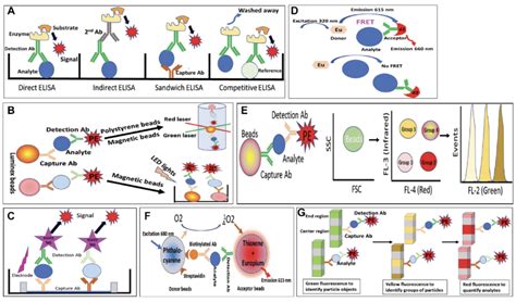 Tumor Angiogenesis Cell Based Solution All In One