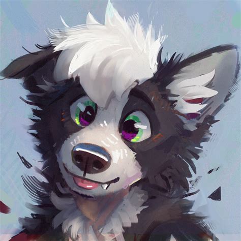 COYOTE TIME on Twitter: "Oreo mode https://t.co/KgPDvZEHiK" / Twitter