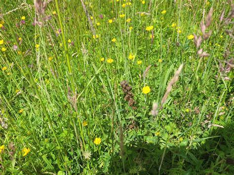Farmers Of The UK on Twitter: "What if agriculture degrees taught
