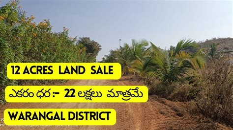 12 Acres Agricultural Land Sale Warangal District Telangana State