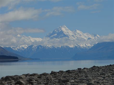 Part 4: Harry Potter Cooks Dinner | Flushing Backwards