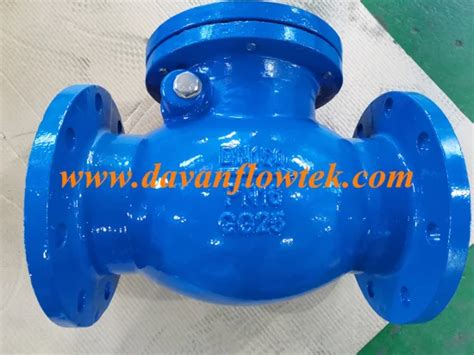 Ductile Cast Iron Gg Din Standard Flanged Water Blue Brass Seat Swing