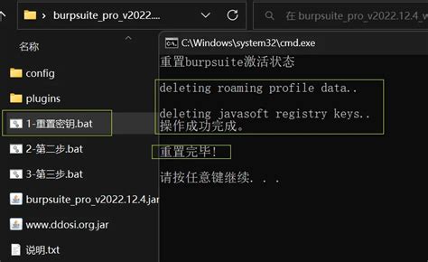 burpsuite pro 2022.12.4 破解版下载 cracked - 🔰雨苁ℒ🔰