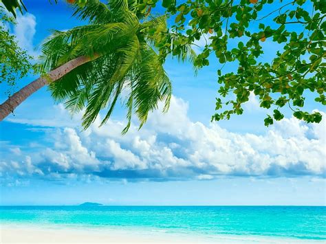 Tropical Beach Landscape For Pc And Mobile For Iphone Android