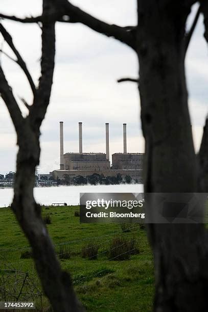 47 Hazelwood Pondage Stock Photos, High-Res Pictures, and Images ...