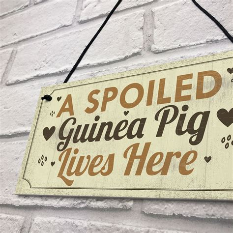 Spoiled Guinea Pig Lives Here Beautiful Handmade Gift Sign For Guinea