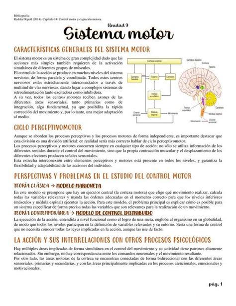 Neurociencias Ii Final Psicomatices Udocz