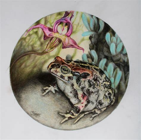 305 best Polychromos images on Pholder | Colored Pencils, Coloring and ...