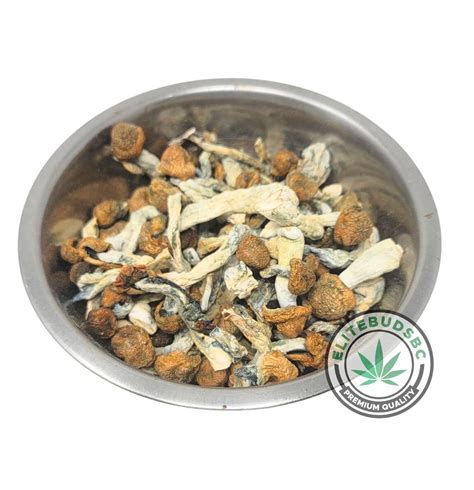 Buy TRINITY MAGIC SHROOMS Online Elite Buds BC