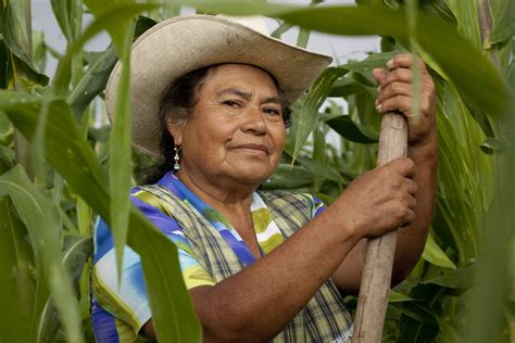 impulsan  mujeres  cultivo de hortalizas panorama agrario