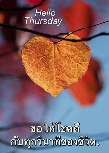 ปักพินโดย Pt ใน 04 Happy Thursday In Thai อรุณสวัสดิ์ สวัสดี สุข