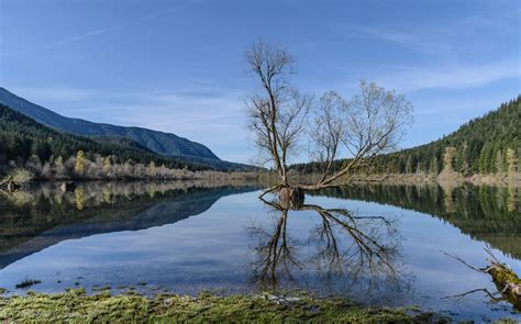 Reflections on Rattlesnake Lake on Behance