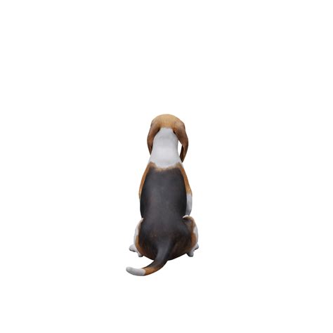 3d cute dog play with ball 18754255 PNG