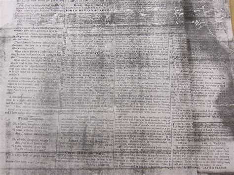 Freestone Busted Newspaper - Sotheby’s Institute Digital Archive