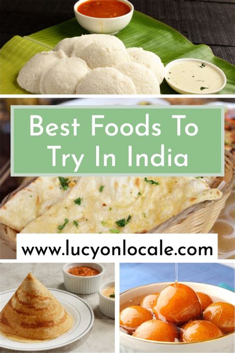 Best Foods in India: Dishes You Have To Try - Lucy On Locale