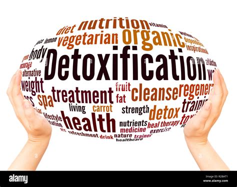 Detoxification Word Cloud Hand Sphere Concept On White Background Stock