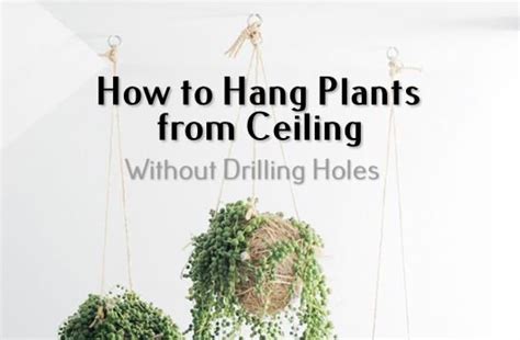 How To Hang Things From The Ceiling Without Drilling Shelly Lighting