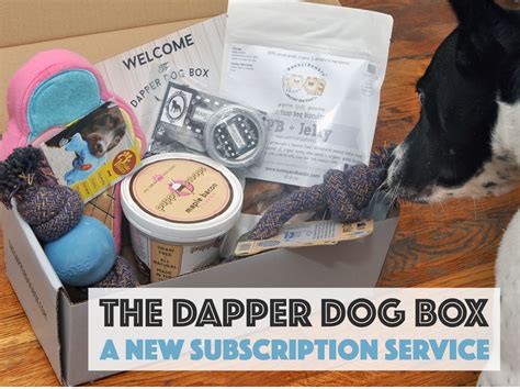 The Dapper Dog Box: A New Dog Subscription Box - The Broke Dog