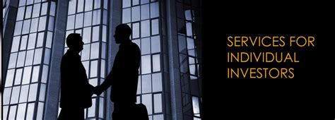 individual investors overview amici international corp