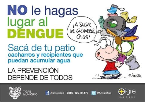 El Municipio De Tigre Comienza La Campa A Para Prevenir El Dengue