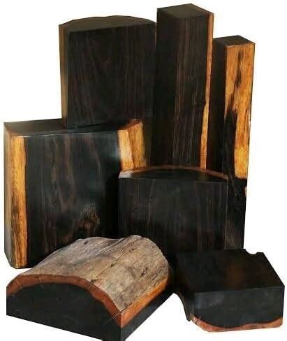 dalbergia melanoxylon seedsafrican blackwood seeds black wood tree