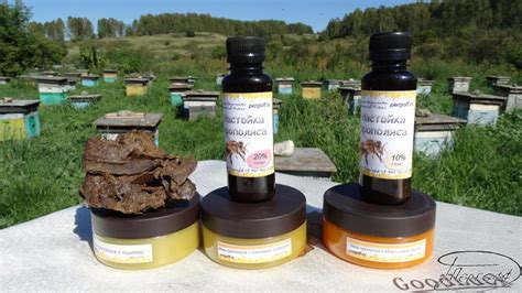 Прополис, настойки, мази. Заказать из Алтая.